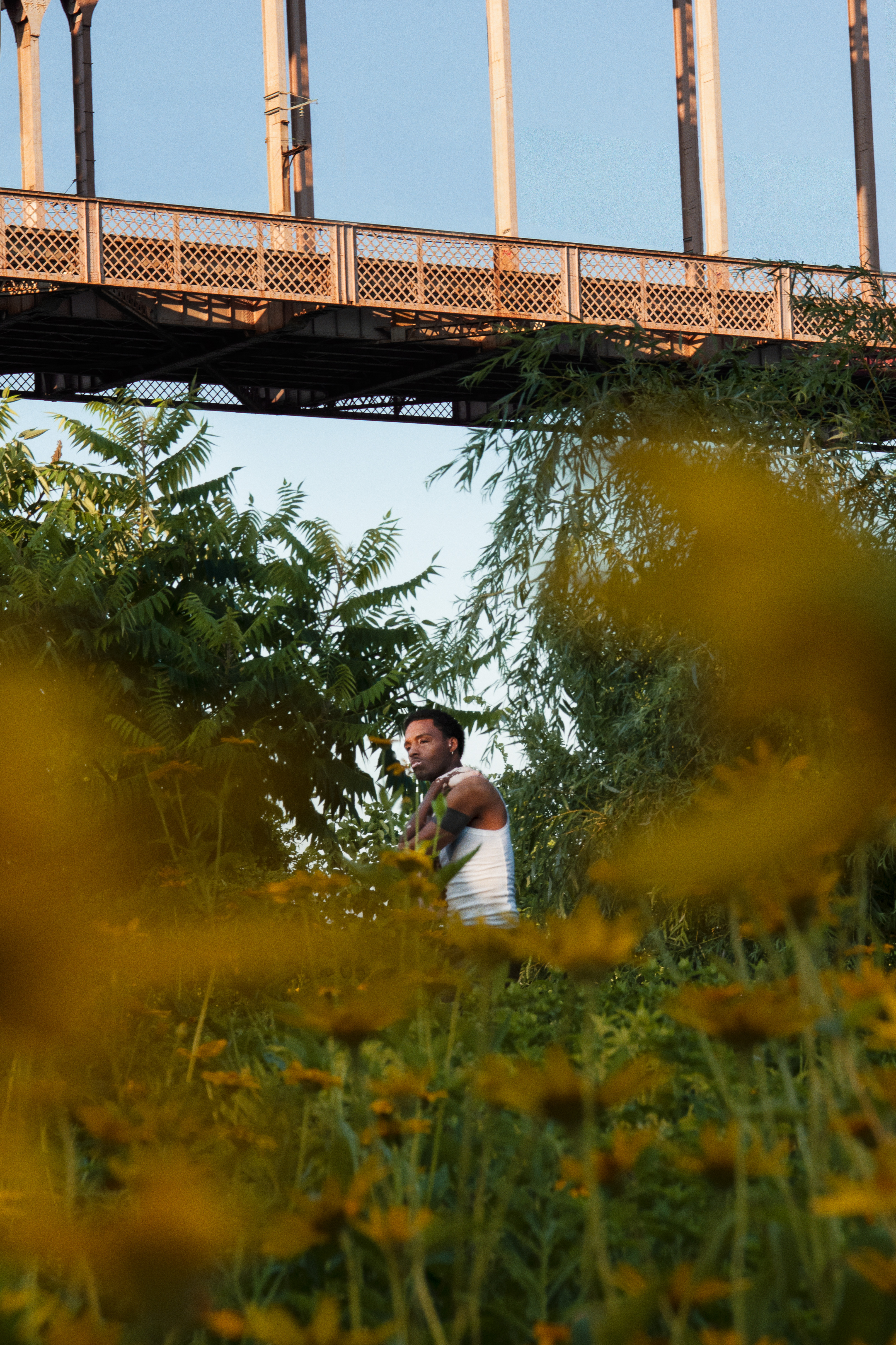 Yellow Meadow 2025